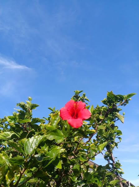 2025年1月18日