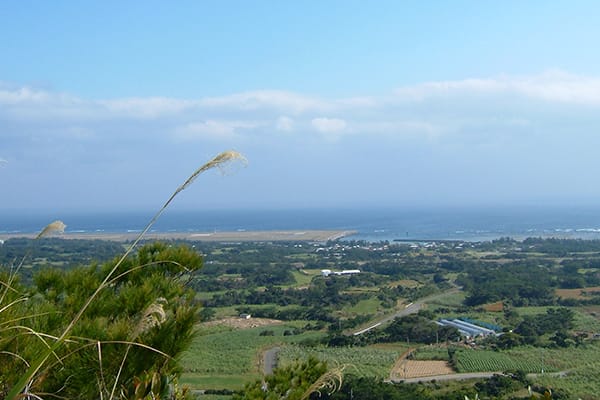 奄美大島とは…