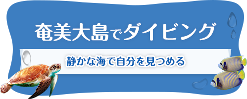 奄美黄島でダイビング