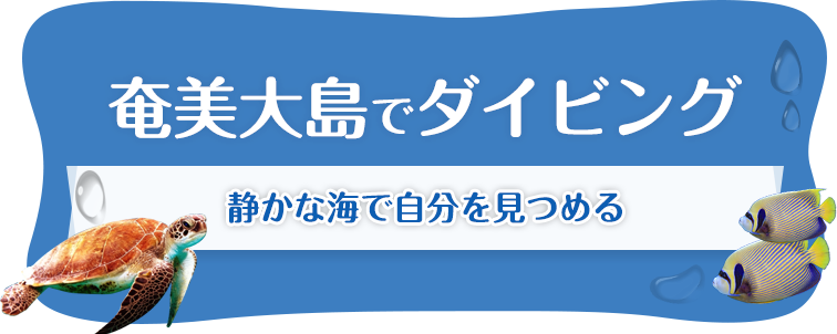 奄美黄島でダイビング